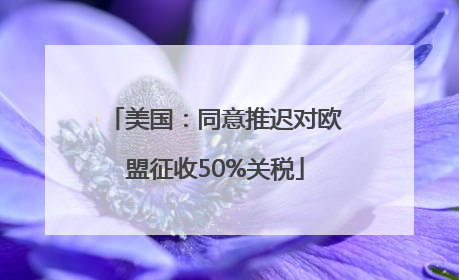 美国：同意推迟对欧盟征收50%关税