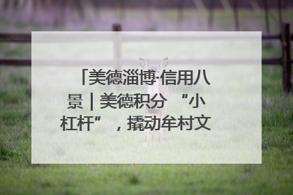 美德淄博·信用八景｜美德积分 “小杠杆”，撬动牟村文明 “大能量”