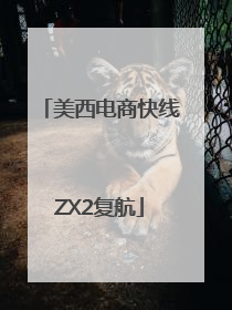 美西电商快线ZX2复航