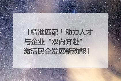 精准匹配！助力人才与企业“双向奔赴” 激活民企发展新动能