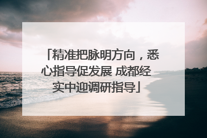 精准把脉明方向，悉心指导促发展 成都经实中迎调研指导