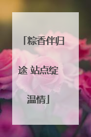 粽香伴归途 站点绽温情