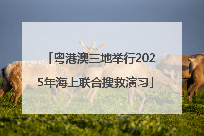 粤港澳三地举行2025年海上联合搜救演习