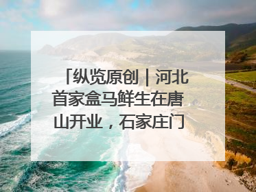 纵览原创｜河北首家盒马鲜生在唐山开业，石家庄门店预计8月开业