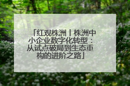 红观株洲丨株洲中小企业数字化转型：从试点破局到生态重构的进阶之路