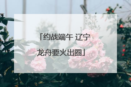 约战端午 辽宁龙舟要火出圈