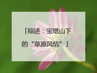 综述：宝塔山下的“草原风情”