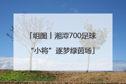 组图丨湘潭700足球“小将”逐梦绿茵场