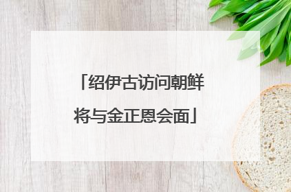 绍伊古访问朝鲜 将与金正恩会面