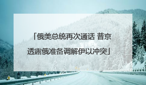 俄美总统再次通话 普京透露俄准备调解伊以冲突