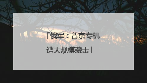 俄军：普京专机遭大规模袭击