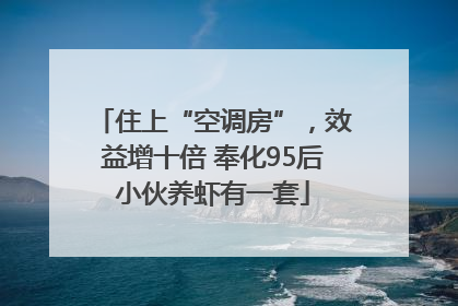 住上“空调房”，效益增十倍 奉化95后小伙养虾有一套