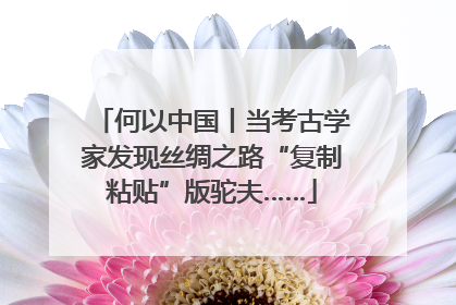 何以中国丨当考古学家发现丝绸之路“复制粘贴”版驼夫……