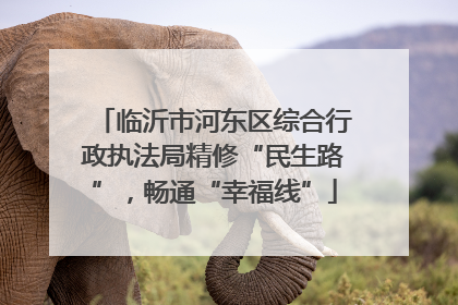 临沂市河东区综合行政执法局精修“民生路”，畅通“幸福线”