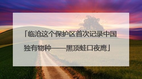 临沧这个保护区首次记录中国独有物种——黑顶蛙口夜鹰
