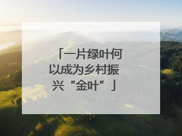 一片绿叶何以成为乡村振兴“金叶”