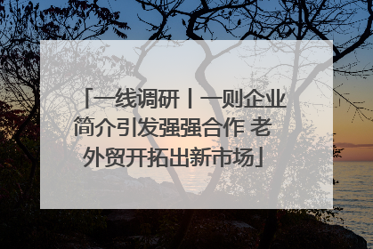 一线调研丨一则企业简介引发强强合作 老外贸开拓出新市场