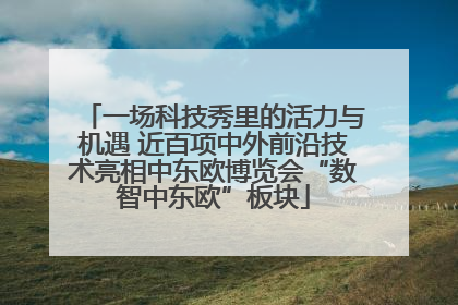 一场科技秀里的活力与机遇 近百项中外前沿技术亮相中东欧博览会“数智中东欧”板块