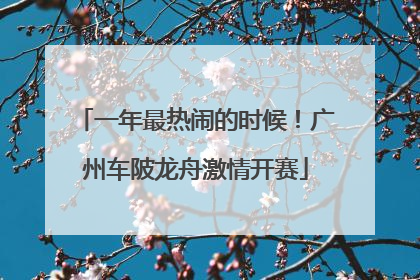 一年最热闹的时候！广州车陂龙舟激情开赛