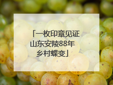 一枚印章见证山东安陵88年乡村蝶变
