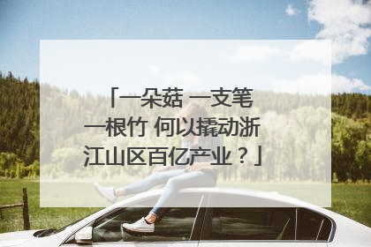 一朵菇 一支笔 一根竹 何以撬动浙江山区百亿产业？