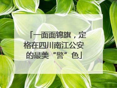 一面面锦旗，定格在四川南江公安的最美“警”色