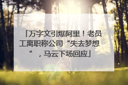 万字文引爆阿里！老员工离职称公司“失去梦想”，马云下场回应