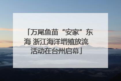 万尾鱼苗“安家”东海 浙江海洋增殖放流活动在台州启幕