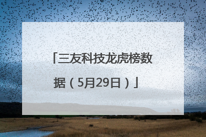 三友科技龙虎榜数据（5月29日）