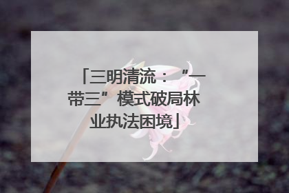 三明清流：“一带三”模式破局林业执法困境