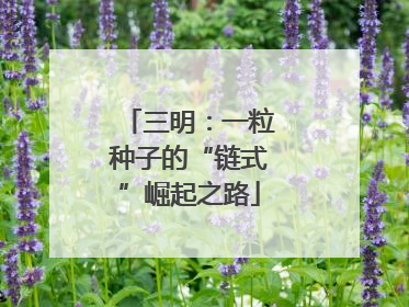 三明：一粒种子的“链式”崛起之路