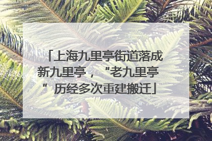 上海九里亭街道落成新九里亭，“老九里亭”历经多次重建搬迁