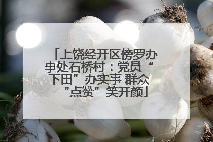 上饶经开区傍罗办事处石桥村：党员“下田”办实事 群众“点赞”笑开颜