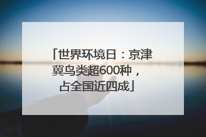 世界环境日：京津冀鸟类超600种，占全国近四成
