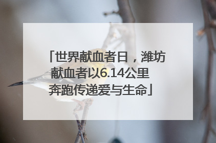 世界献血者日，潍坊献血者以6.14公里奔跑传递爱与生命