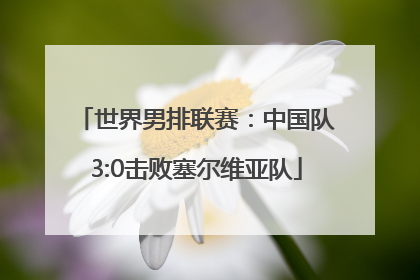 世界男排联赛：中国队3:0击败塞尔维亚队