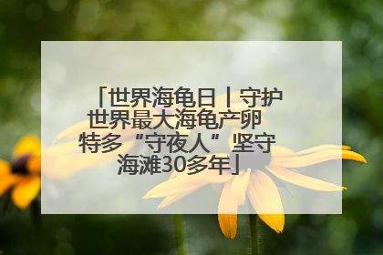 世界海龟日丨守护世界最大海龟产卵 特多“守夜人”坚守海滩30多年