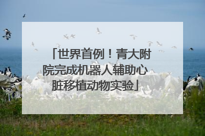 世界首例！青大附院完成机器人辅助心脏移植动物实验