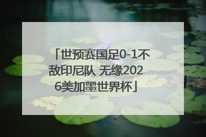 世预赛国足0-1不敌印尼队 无缘2026美加墨世界杯