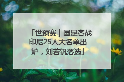 世预赛｜国足客战印尼25人大名单出炉，刘若钒落选