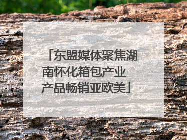 东盟媒体聚焦湖南怀化箱包产业 产品畅销亚欧美
