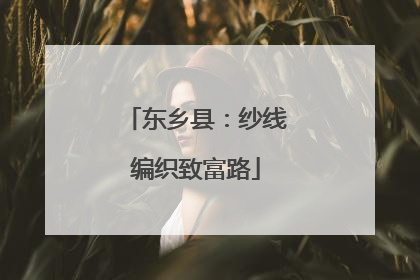 东乡县：纱线编织致富路