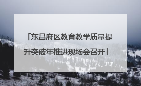 东昌府区教育教学质量提升突破年推进现场会召开