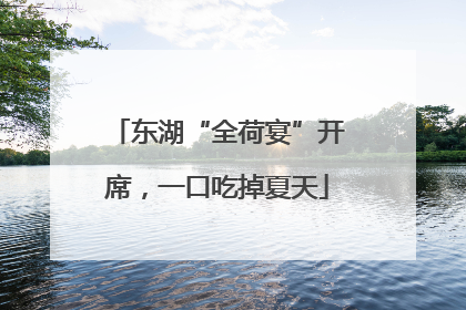 东湖“全荷宴”开席，一口吃掉夏天