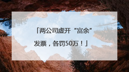 两公司虚开“富余”发票，各罚50万！