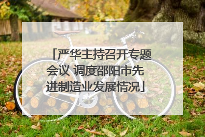 严华主持召开专题会议 调度邵阳市先进制造业发展情况