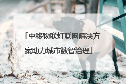中移物联灯联网解决方案助力城市数智治理