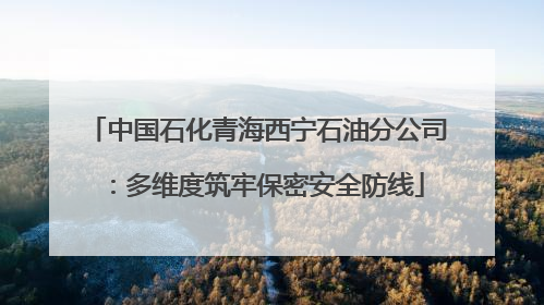 中国石化青海西宁石油分公司：多维度筑牢保密安全防线