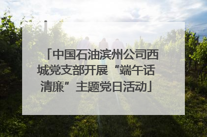 中国石油滨州公司西城党支部开展“端午话清廉”主题党日活动