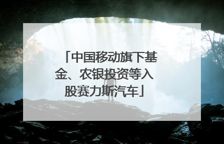 中国移动旗下基金、农银投资等入股赛力斯汽车